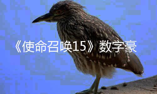 命召版上唤1豪华元加强架X价9使数字商城 售